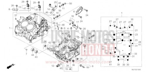 CARTER MOTEUR NT1100DP de 2023
